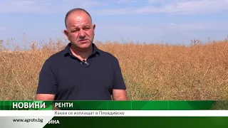 РЕНТИ: Какви се изплащат в Пловдивско