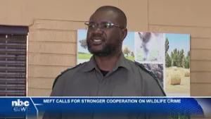 MEFT calls for stronger anti-poaching cooperation - nbc