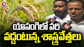 Agriculture Scientists Advise Paddy Crop Holiday in Yasangi Amid Water Shortage | V6 News