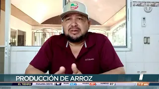 Chiriquí rice producers report impacts from El Niño phenomenon