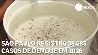 São Paulo records 58,683 dengue cases in 2026
