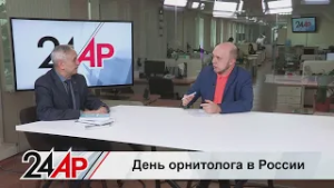 Для чего считают воробьев и можно ли кормить голубей? Правда о городских птицах.Актуальный разговор