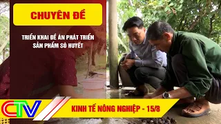 KINH TẾ NÔNG NGHIỆP 15-8-2026 | GIẢI PHÁP NÂNG CAO CHẤT LƯỢNG TÔM GIỐNG