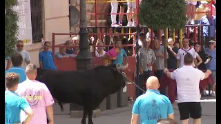 Teruel to Host the 10th Rope Bull Gathering
