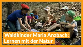 Waldkinder Maria Anzbach: Learning with Nature