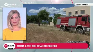 Φωτιά στο Πικέρμι