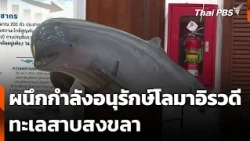 Joining Forces to Conserve Irrawaddy Dolphins in Songkhla Lake | All-Around Watch | Oct 15, '26