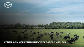 Check Out Bolivia's Largest Cattle Feedlot