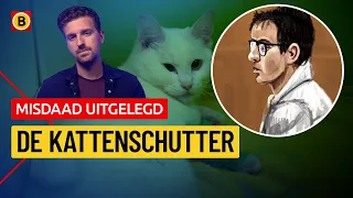 Why did this man from China shoot at cats in Eindhoven?