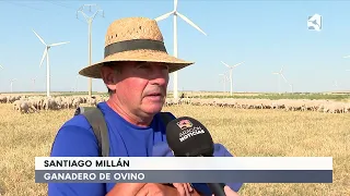 Las explotaciones ganaderas buscan alivio frente al calor