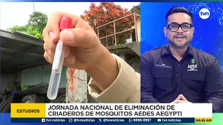 Dengue supera los 6,000 casos y deja 16 muertes en Panamá; serotipo 2 genera más complicaciones