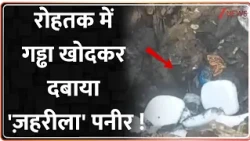 Rohtak Fake Paneer Raid :  रोहतक में गड्ढा खोदकर दबाया 'ज़हरीला' पनीर ! Breaking News
