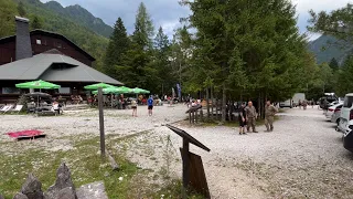 DOGODKI DNEVA 8.9.2026 - Zmagovalca 37. ultramaratona od Celja do Logarske doline