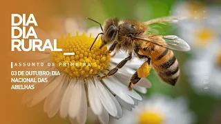 October 3rd: National Bee Day