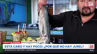 It’s expensive and scarce: Why is there no mackerel?