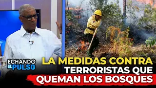 JOHNNY VÁSQUEZ | NEW MEASURES ANNOUNCED AGAINST FOREST FIRES | LAYING DOWN THE LAW
