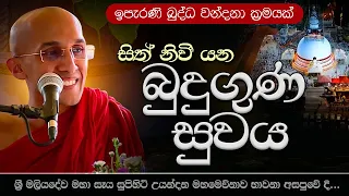 සිත් නිවෙන බුදුගුණ සුවය  | මහමෙව්නාව අසපුව - උයන්දන | Ven. Ankubure Amithadeepa Thero