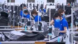 Export businesses seek to reduce reliance on single markets