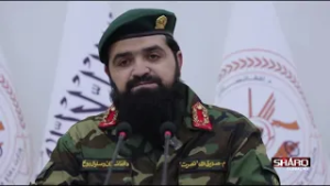 پر پاکستان غچ اخیستونکو بریدونو ۴۱ پاکستانۍ ملیشې وژل شوي