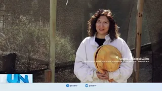 La UA analiza la miel y el propóleo en el proyecto “Abejas para el futuro”