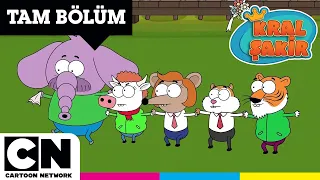 Hızını Alamayan Halay | KRAL ŞAKİR | TAM BÖLÜM | @cartoonnetworkturkiye