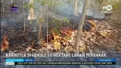 STHI - Tojo Una-Una: Forest and Land Fire in Uekuli, 10 Hectares Burned