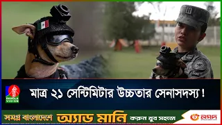 সেনাবাহিনীতে বিশেষ কমান্ডোর চমক