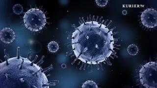 Invisible but Everywhere: These Viruses Are With Us This Summer