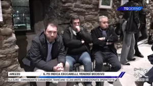 TG Giorno 19/02/2026