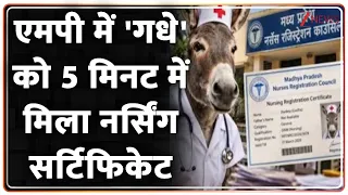 Donkey Gets Nursing Certificate: एमपी में 'गधे' को 5 मिनट में मिला नर्सिंग सर्टिफिकेट | Breaking