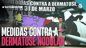 ? Prórroga das MEDIDAS contra a DERMATOSE nodular | O TERMÓMETRO
