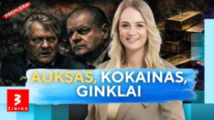 Rekordinė korupcija, atvedusi ir į Seimą: milijoniniai kyšiai, auksas, narkotikai ir sprogmenys
