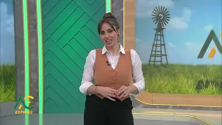 Santa Cruz: Características Patagónicas - Aire De Campo Express