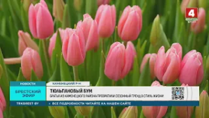 ТЮЛЬПАНОВЫЙ БУМ