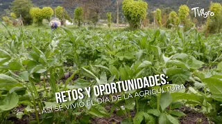 Challenges and Opportunities: How Agriculture Day Was Celebrated - TvAgro by Juan Gonzalo Angel