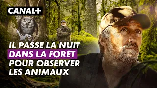 10 minutes pour apprécier la nature, ASMR - Le chant des forêts