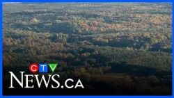 Three years after Greenbelt scandal investigation is ongoing