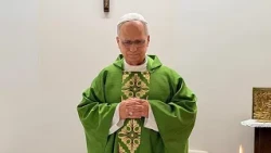 Pope Leo XIV celebrates Mass as recovery from cancer surgery progresses