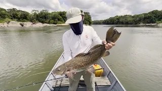 HodulaFishing – Lov sumců na řece Essequibo | V Guyanské divočině