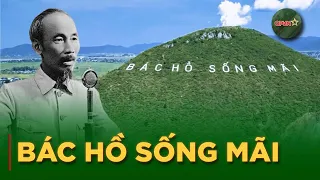 "Uncle Ho Lives Forever" - Four Golden Words atop Nhon Mountain | QPVN