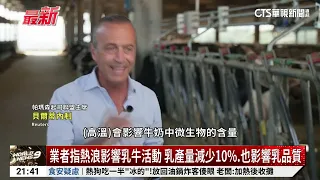 Extreme Heat in Italy's Parmesan Cheese Region: Cows Struggle to Produce Milk | CTS News 20260714...