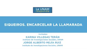 Siqueiros. Encarcelar la llamarada. La UNAM responde 1283