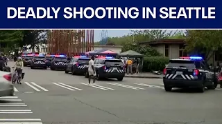 Seattle shooting: 3 people killed, 4 others injured at food festival | FOX 7 Austin