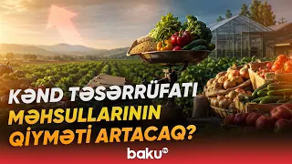 Sudan istifadəyə görə yeni tariflər | Kimlər ödəniş etməyəcək? - Baku TV