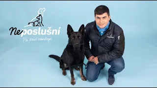 Šteniatko Lea dostalo všetko – len nie hranice. Dokáže to zmeniť Feri? | Neposlušní 🐾