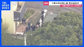 "Mother has been stabbed": 2 stabbed, 52-year-old woman dead in Ota, Gunma... victim suffered ove...