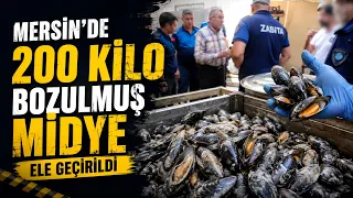 200 kilos of spoiled mussels seized in Mersin @Kanal33mersin