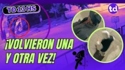 🚨 Entraron a robar 6 veces a la misma casa en un día: se llevaron hasta la mochila escolar