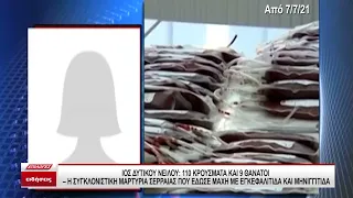 Έντονη ανησυχία για τον ιό του Δυτικού Νείλου: Η συγκλονιστική μαρτυρία Σερραίας που έδωσε μάχη