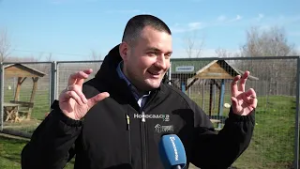 U Prihvatilištu za pse u Novom Sadu 250 kuca čeka svoj novi početak